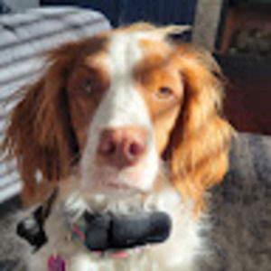 Meet your Posher, Camilla